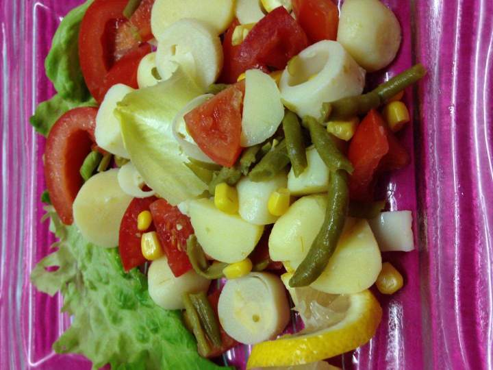 Salade De Gésiers Sauzé-Vaussais