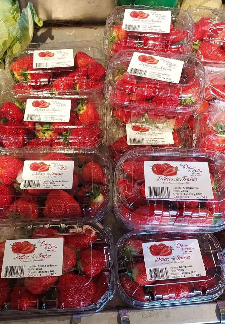 Fraises Sauzé-Vaussais